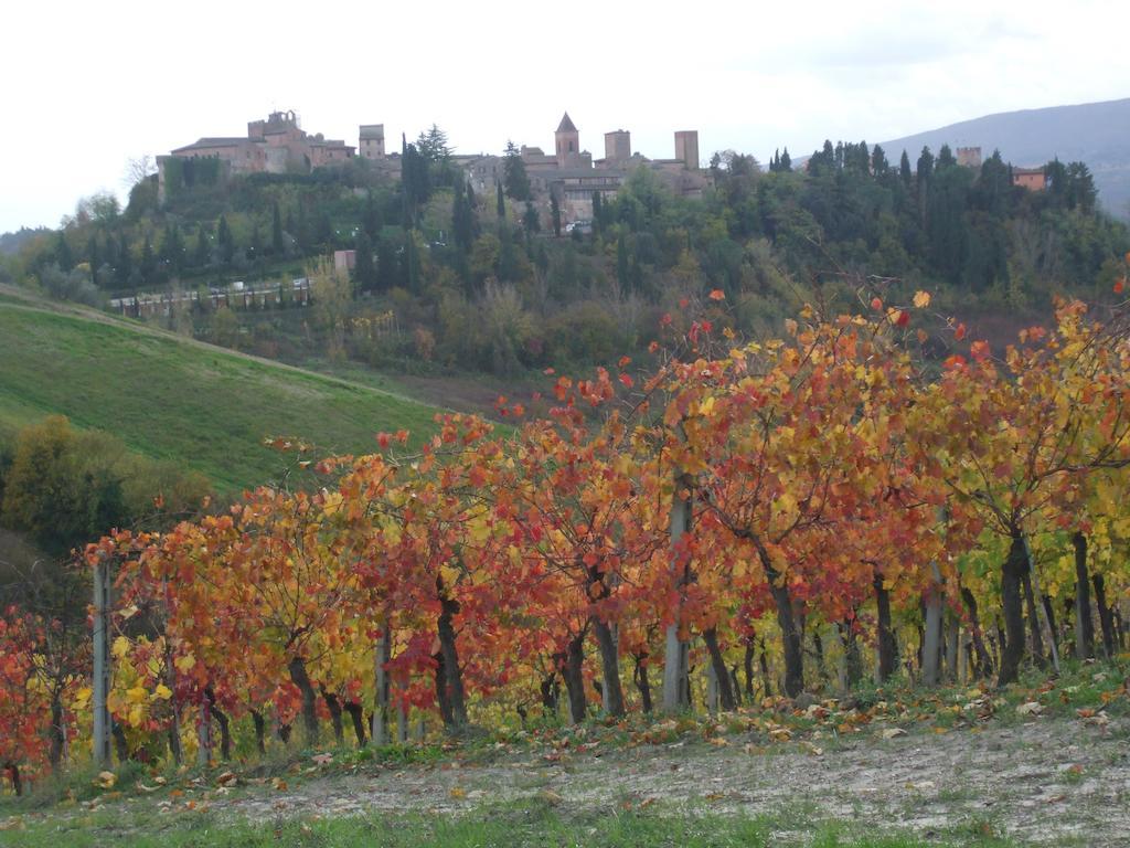 Agriturismo Il Torrione Certaldo Exterior foto