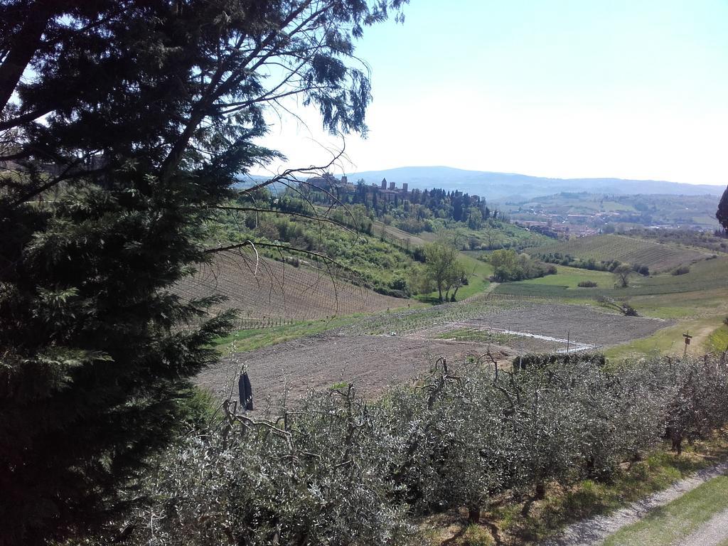 Agriturismo Il Torrione Certaldo Exterior foto